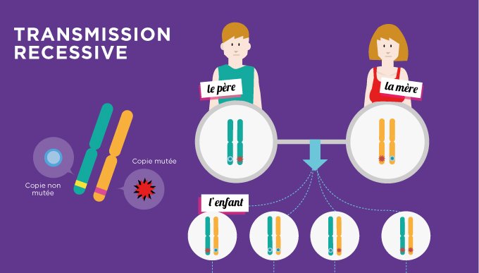 Six exemples de maladies génétiques et leurs origines