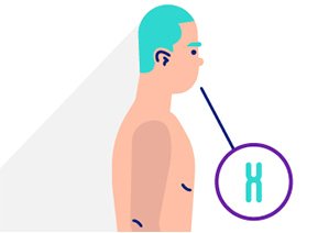 Découvrir le contenu de l'infographie Séquencer l’exome pour accélérer l’avancée des connaissances en génomique