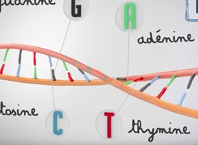 Découvrir le témoignage de l'infographie Diagnostic des Maladies Rares